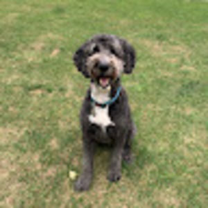 Meet your Posher, Lisa marie